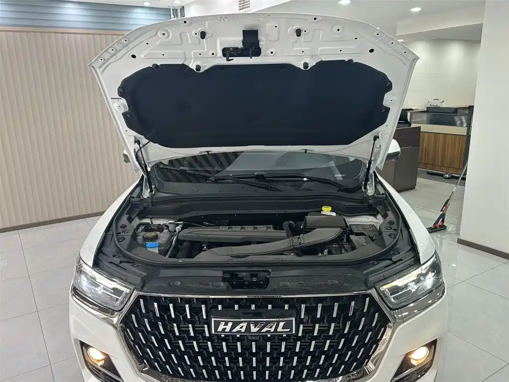 Haval H6 2023 — фото 20