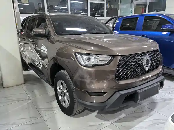 Great Wall Poer 2021
