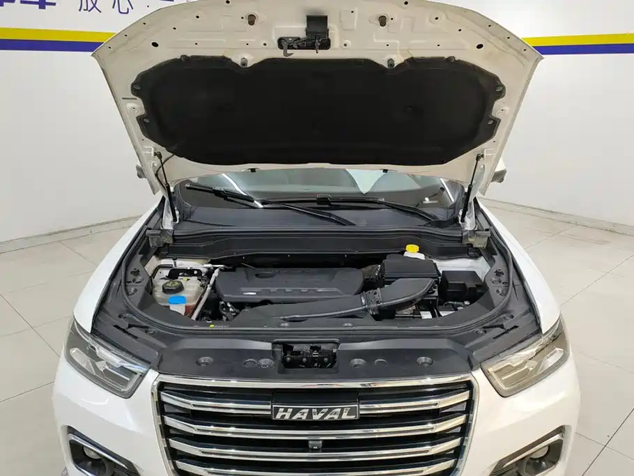 Haval H6 2020 — фото 10