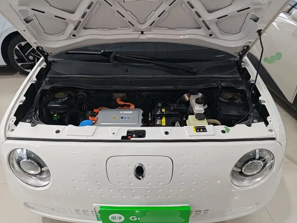 Ora Black Cat 2020 — фото 20