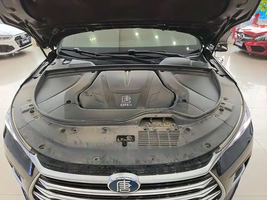 BYD Tang New Energy 2023 — фото 20