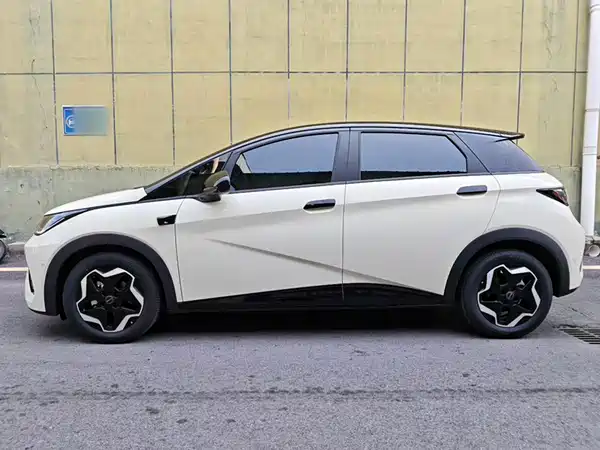 BYD Dolphin 2026