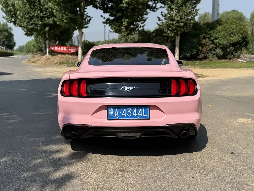 Ford Mustang 2019 — фото 8