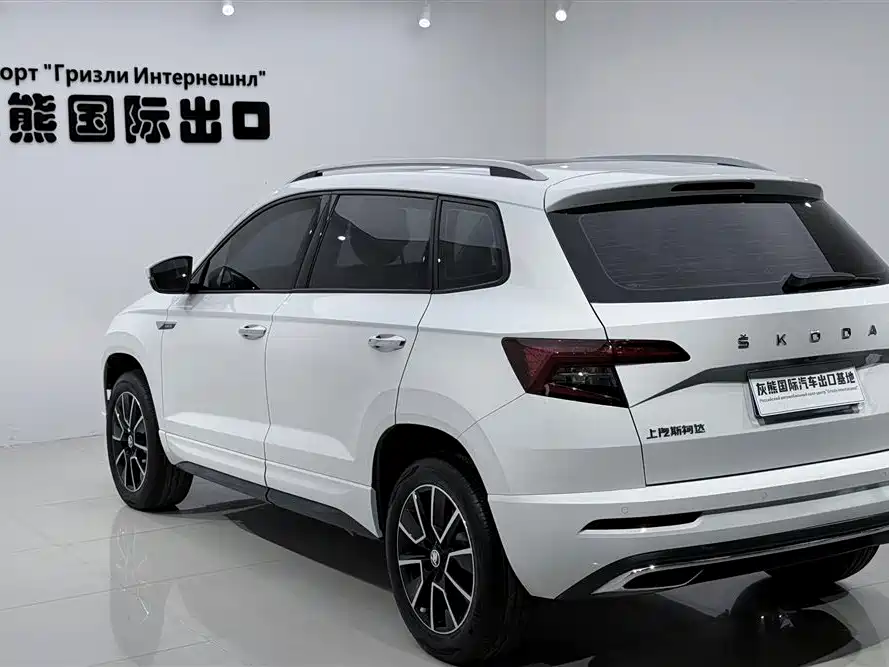 Skoda Karoq 2023 — фото 6
