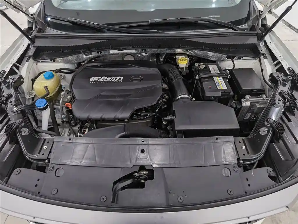 GAC Motor GS4 Plus 2023 — фото 6