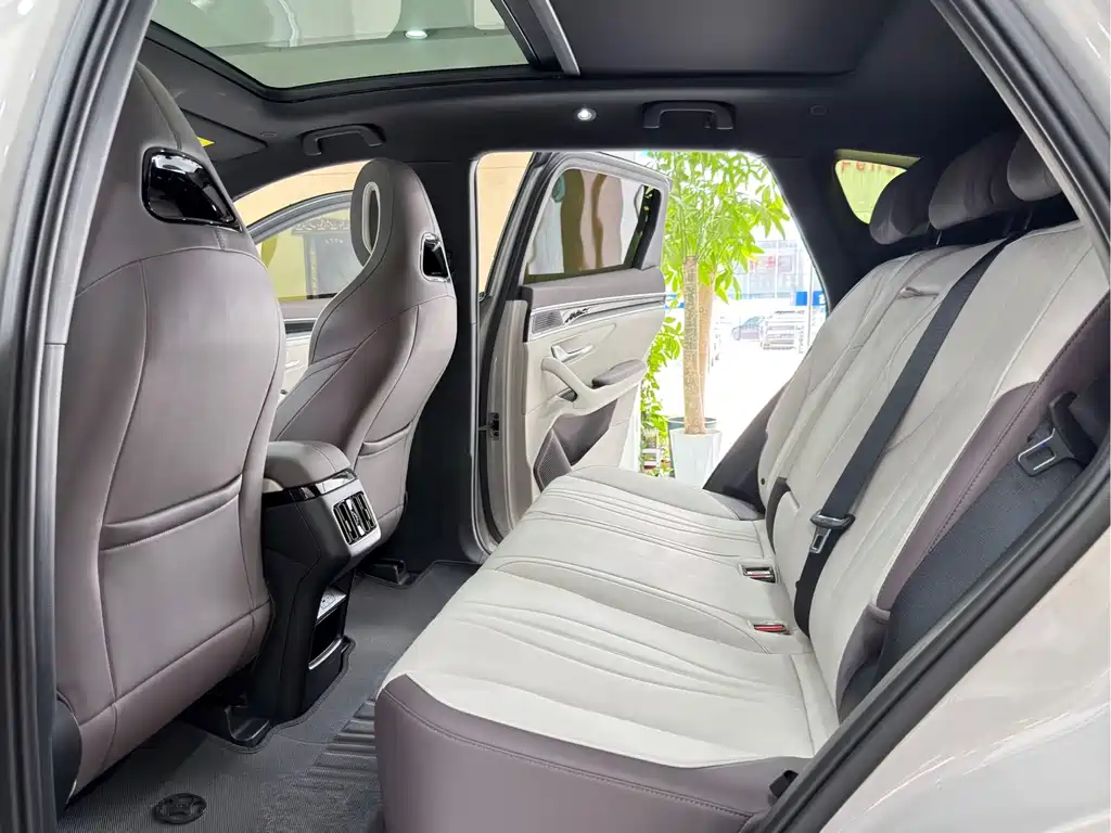 BYD Song PLUS New Energy 2025 — фото 6