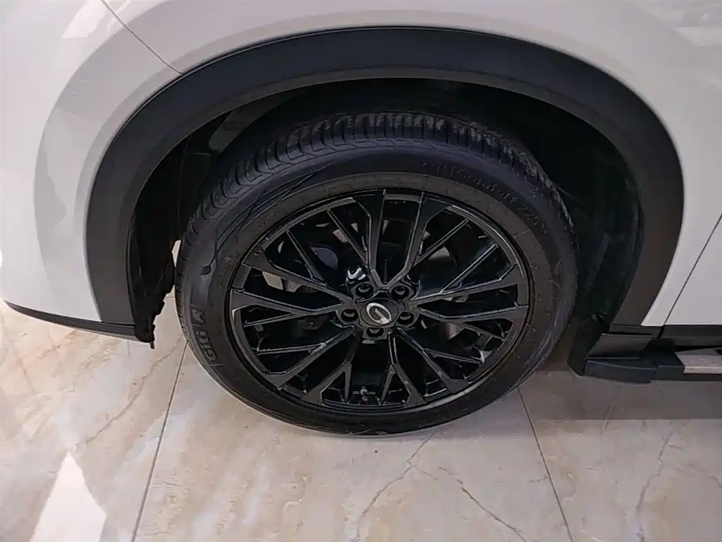 GAC Motor GS4 Plus 2022 — фото 23