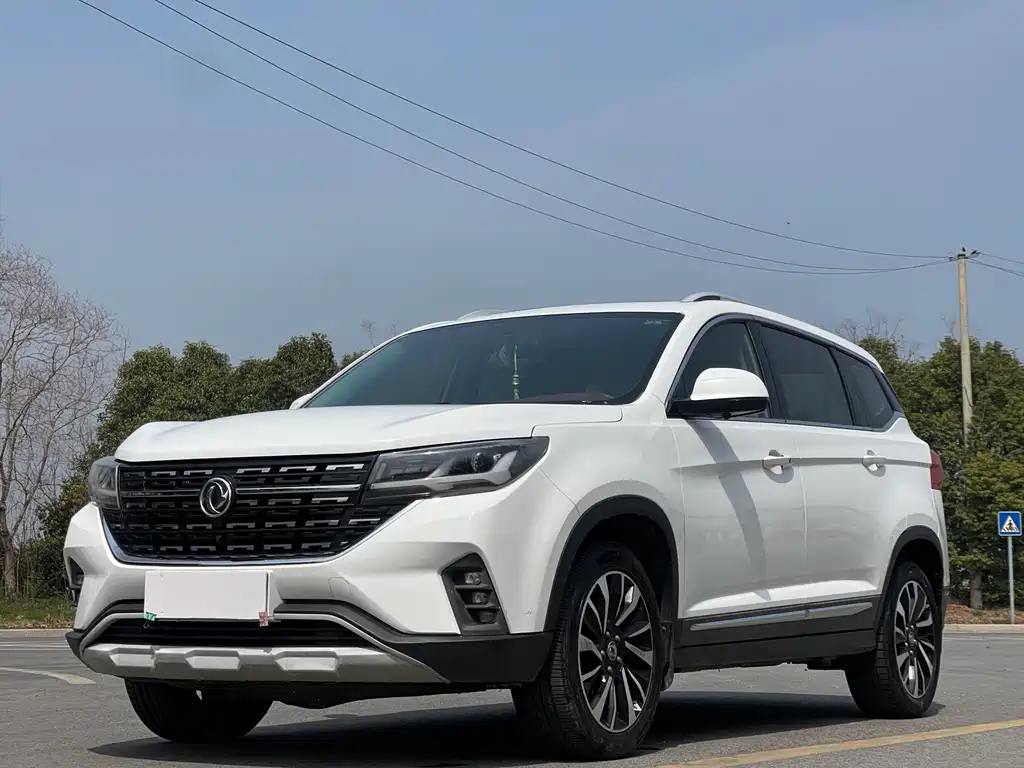 Fengxing T5 2019