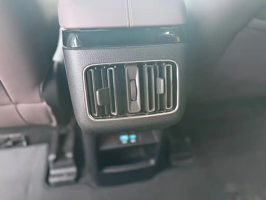 BYD Song PLUS New Energy 2025 — фото 13