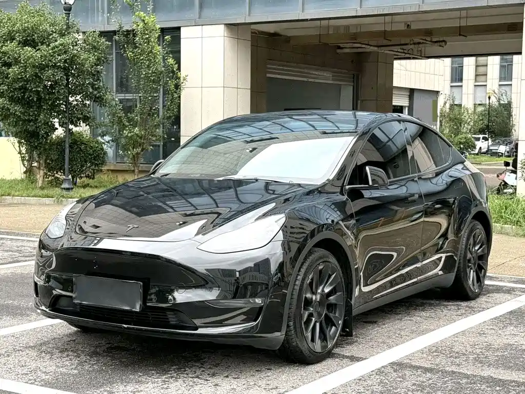 Tesla Model Y 2021 — фото 1