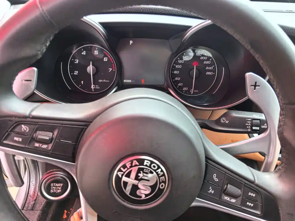 Alfa Romeo Giulia Juliet 2018 — фото 13