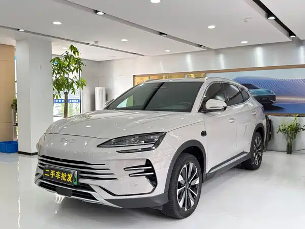 BYD Song PLUS New Energy 2025