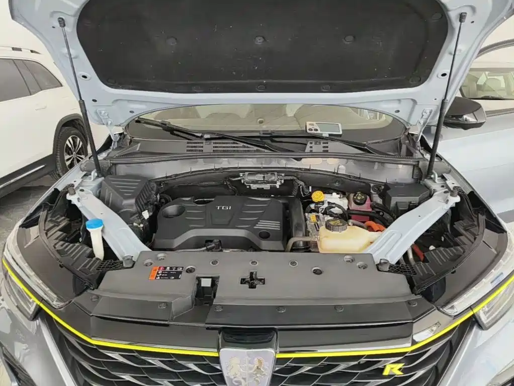 Roewe RX5 New Energy 2021 — фото 20