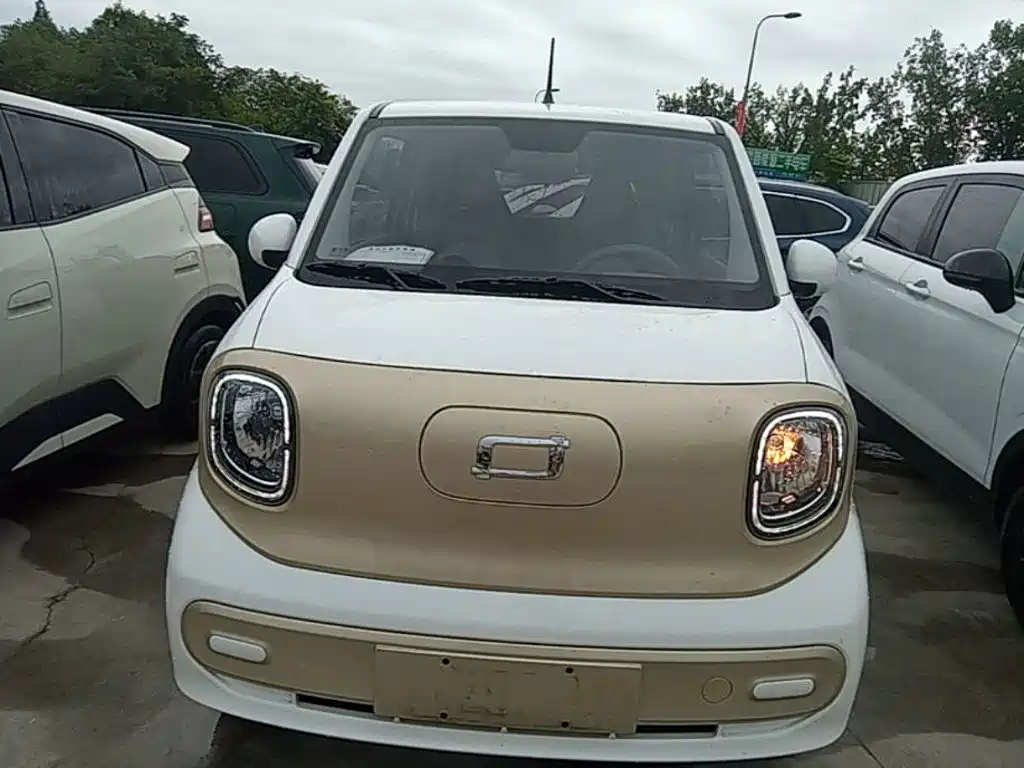 Bestune Pony 2024