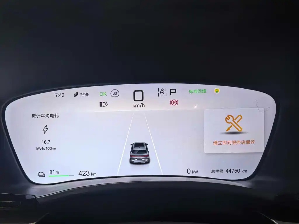 BYD Song PLUS New Energy 2024 — фото 9