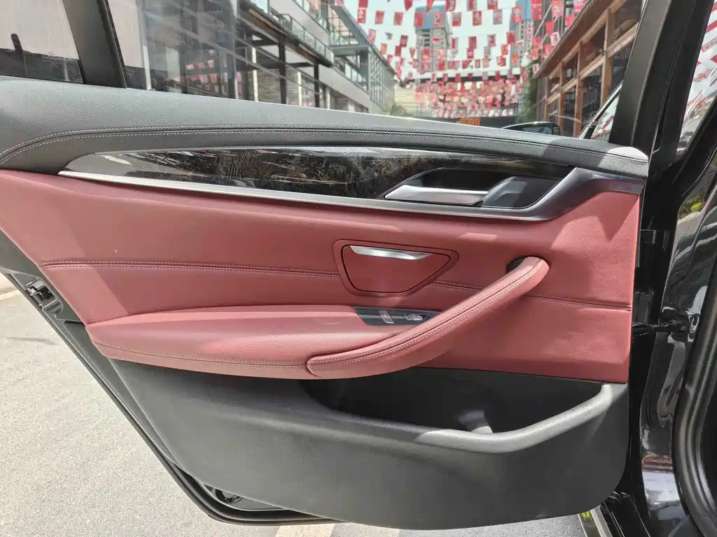 BMW 5 Series New Energy 2021