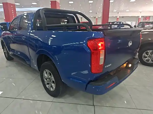 Great Wall Poer 2023