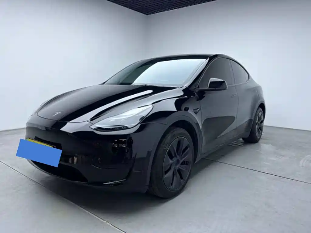Tesla Model Y 2024 — фото 2
