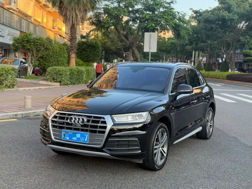 Audi Q5L 2019