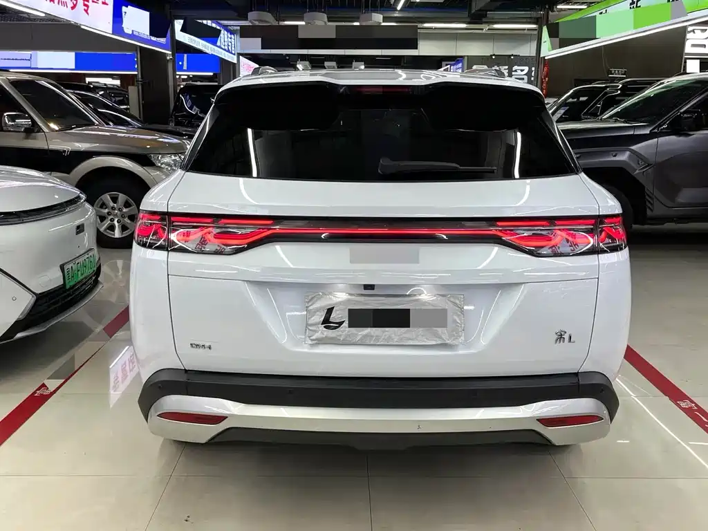 BYD Song L DM-i 2024 — фото 11