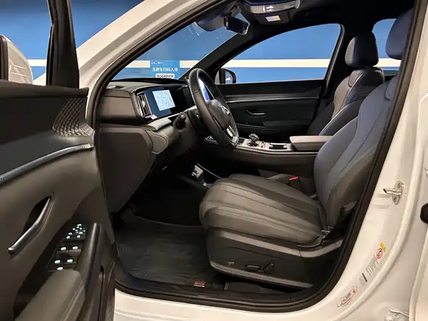 BYD Song Pro New Energy 2025