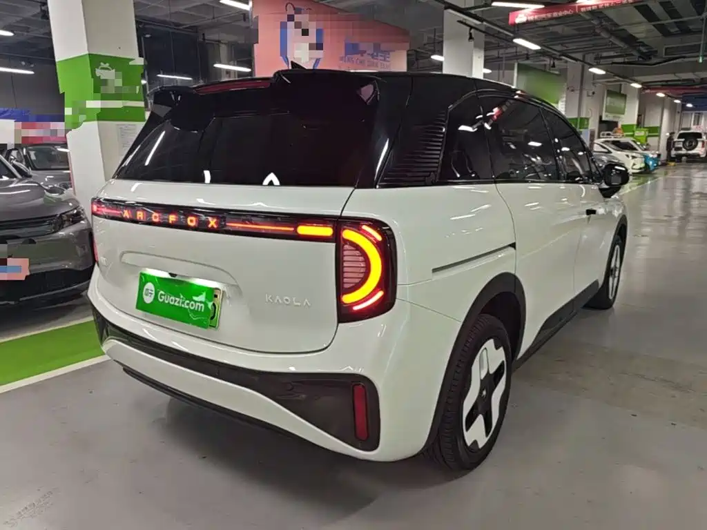 Arcfox Polar Fox Koala 2024