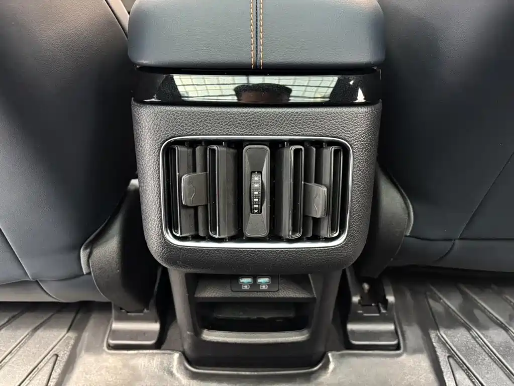 BYD PLUS New Energy 2022 — фото 14
