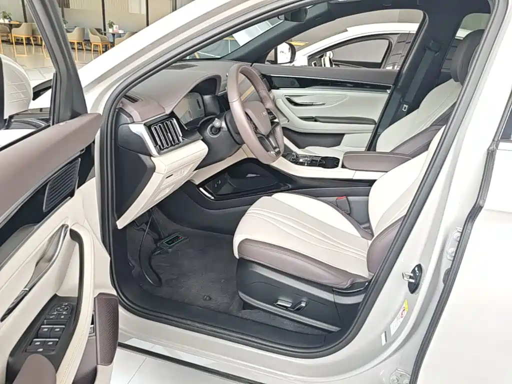 BYD Song PLUS New Energy 2025 — фото 16