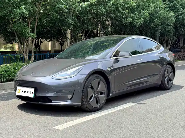 Tesla Model 3 2019