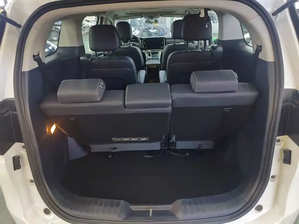 GAC Trumpchi M8 2023 — фото 19