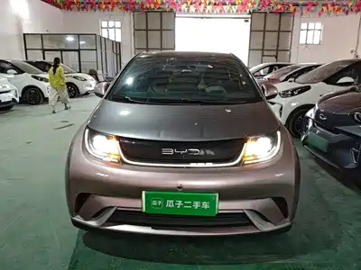 BYD Dolphin 2021