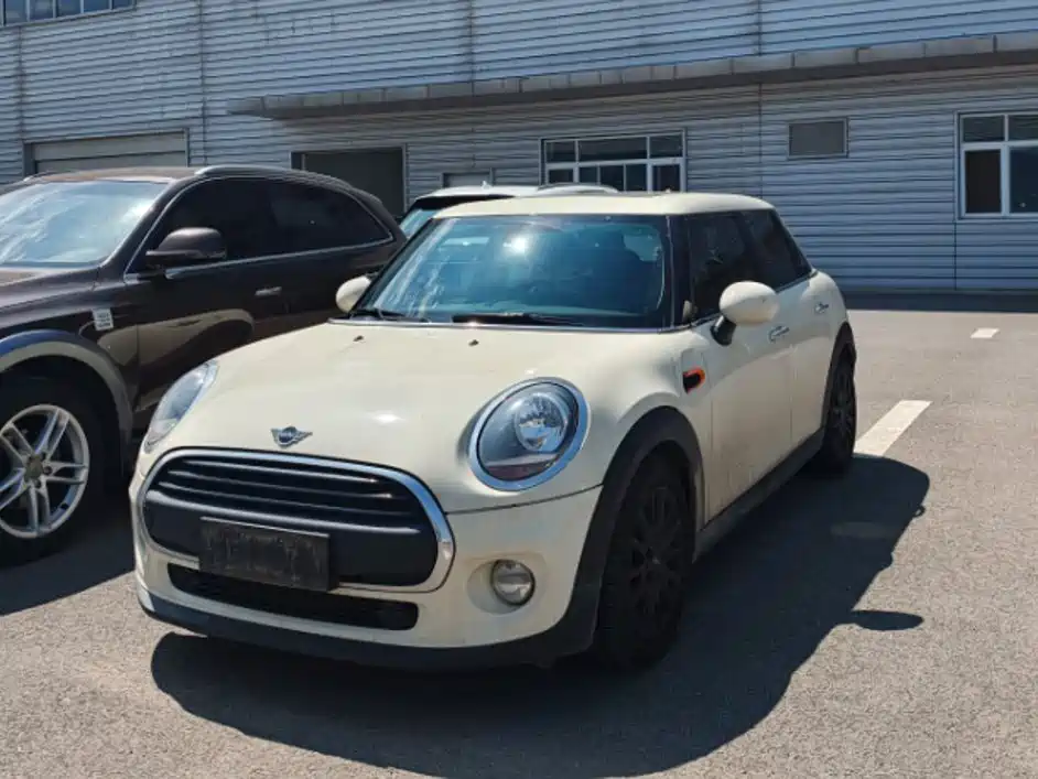 MINI MINI 2018