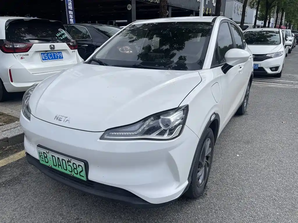 Neta V 2021