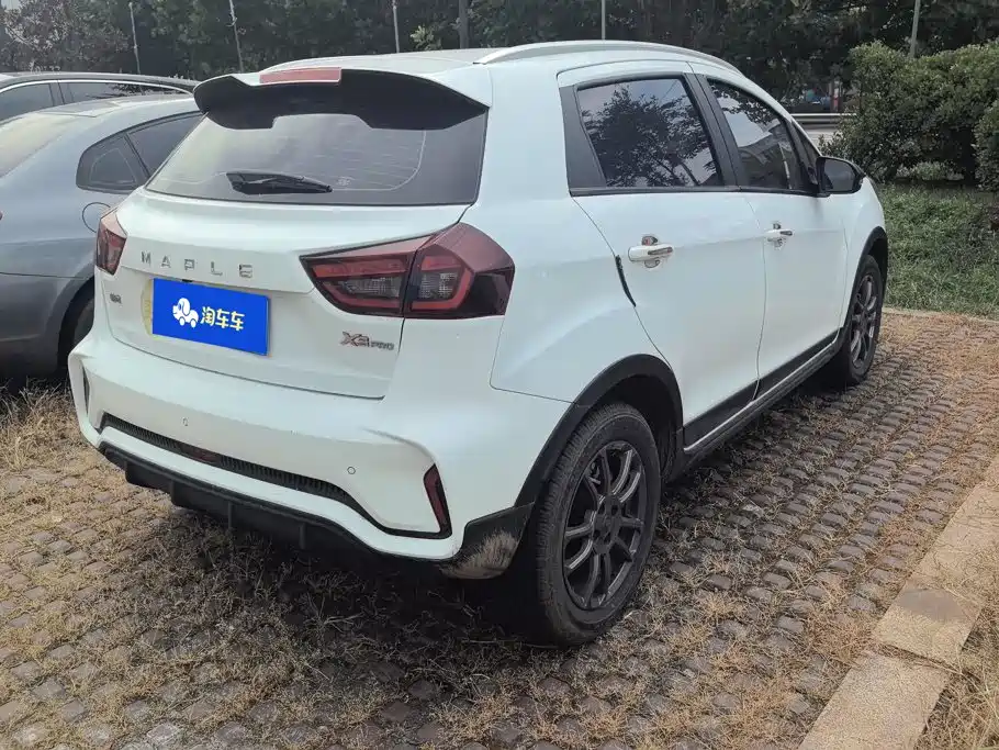 Livan Ruilan Automobile X3 PRO 2022 — фото 3