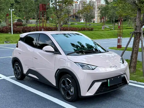 BYD Seagull 2024