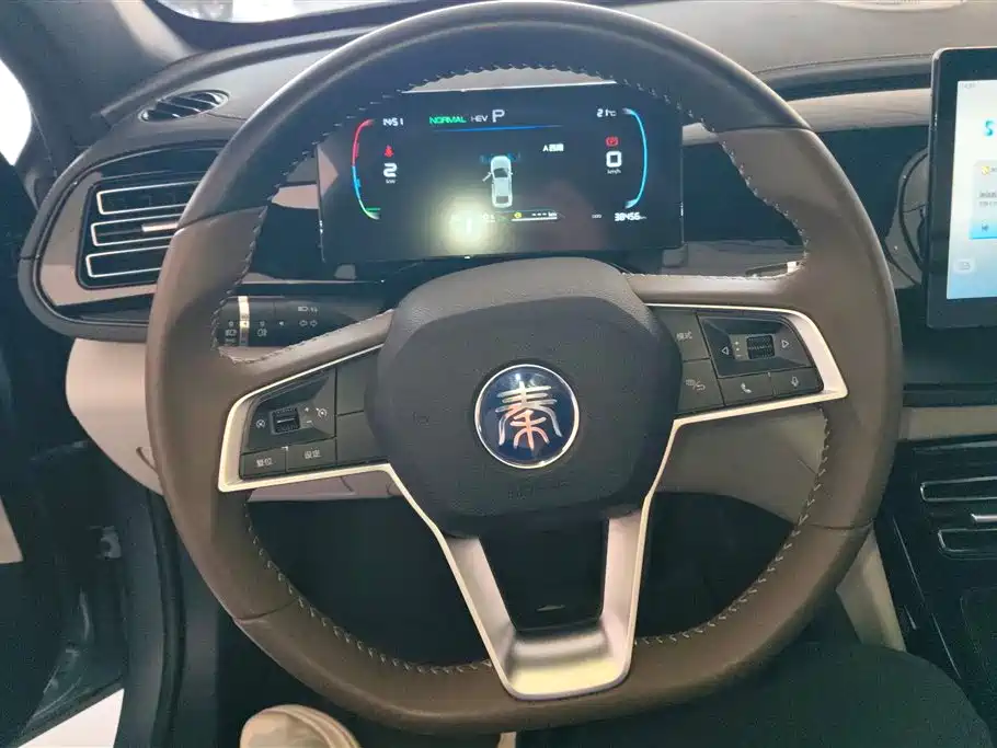BYD Qin PLUS 2025 — фото 15