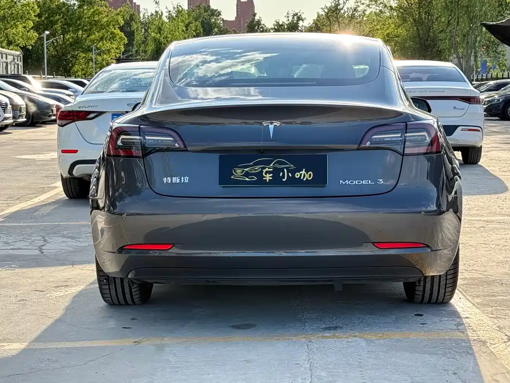 Tesla Model 3 2020 — фото 10