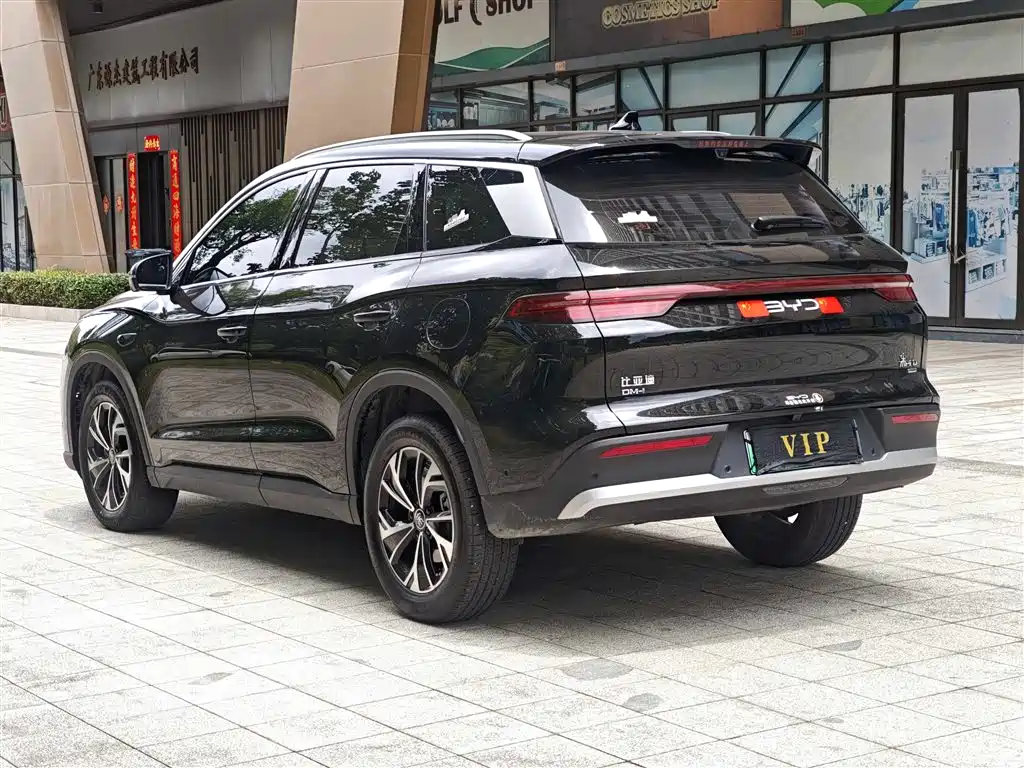 BYD Pro New Energy 2025 — фото 16