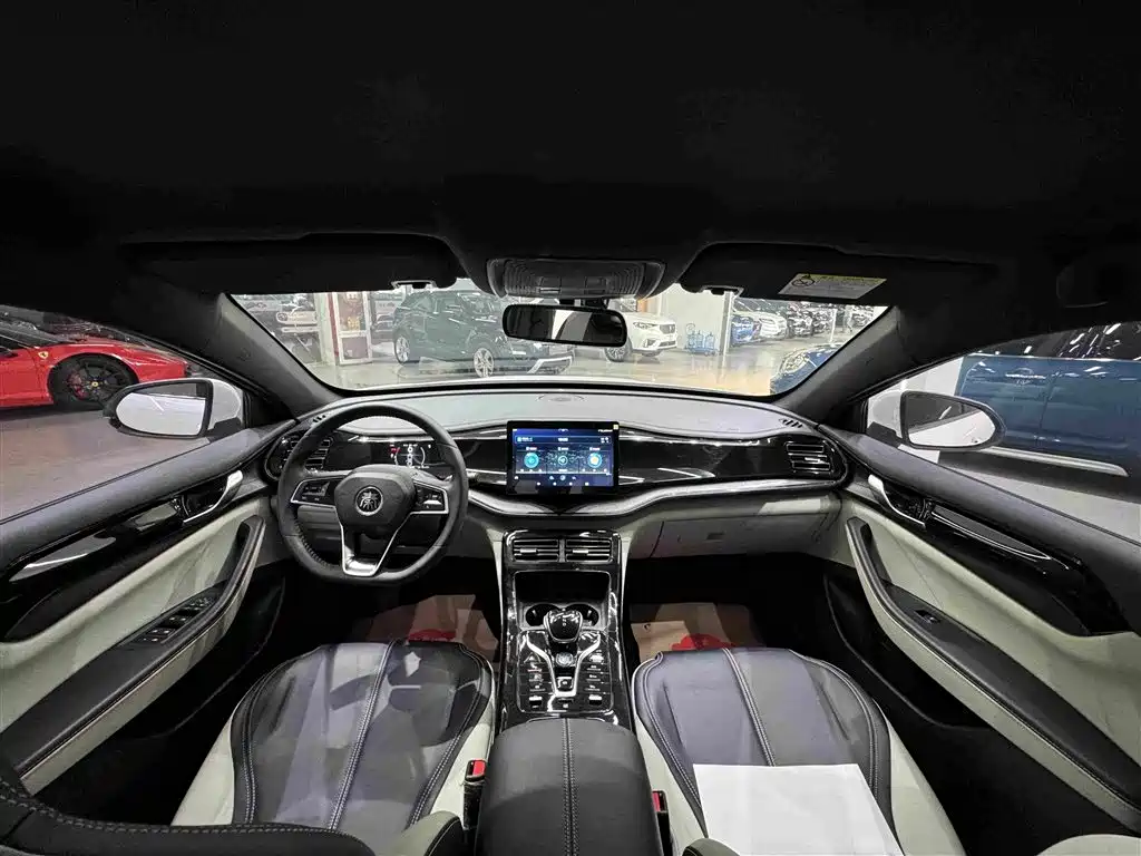 BYD Qin PLUS 2021 — фото 19