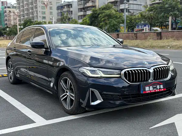 BMW 5 Series 2020