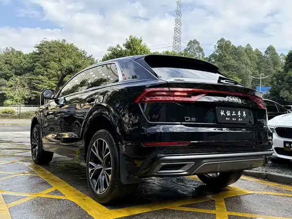Audi Q8 2021