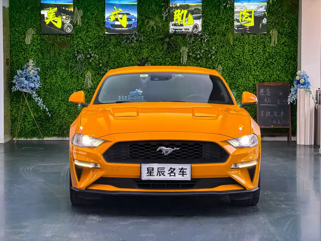 Ford Mustang 2019 — фото 2