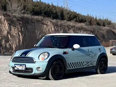 MINI MINI 2011