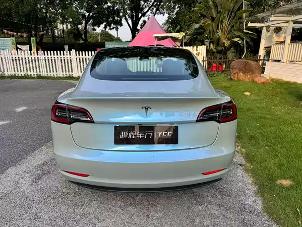 Tesla Model 3 2019