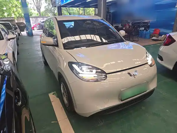 Wuling Bingo 2024