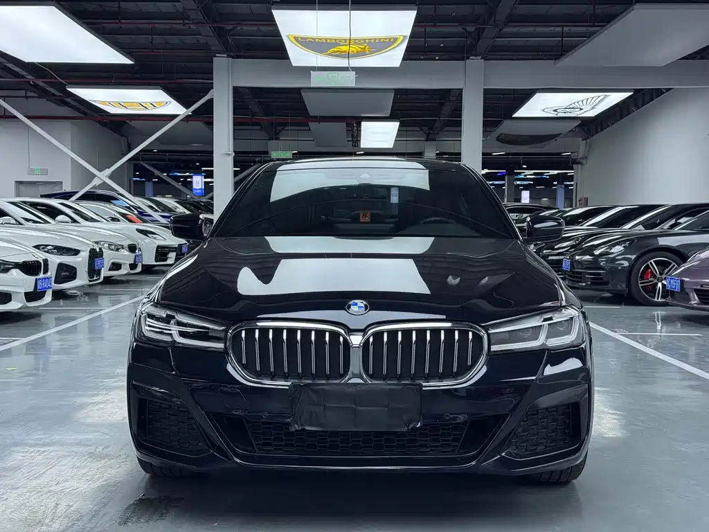 BMW 5 Series 2022