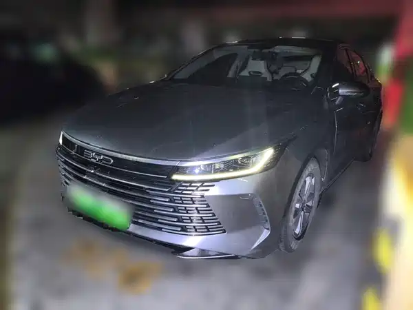 BYD Destroyer 05 2024