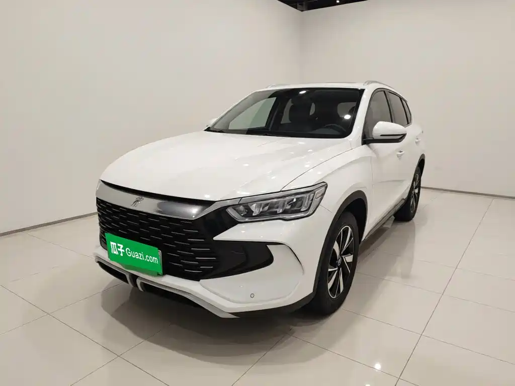 BYD Pro New Energy 2023 — фото 1