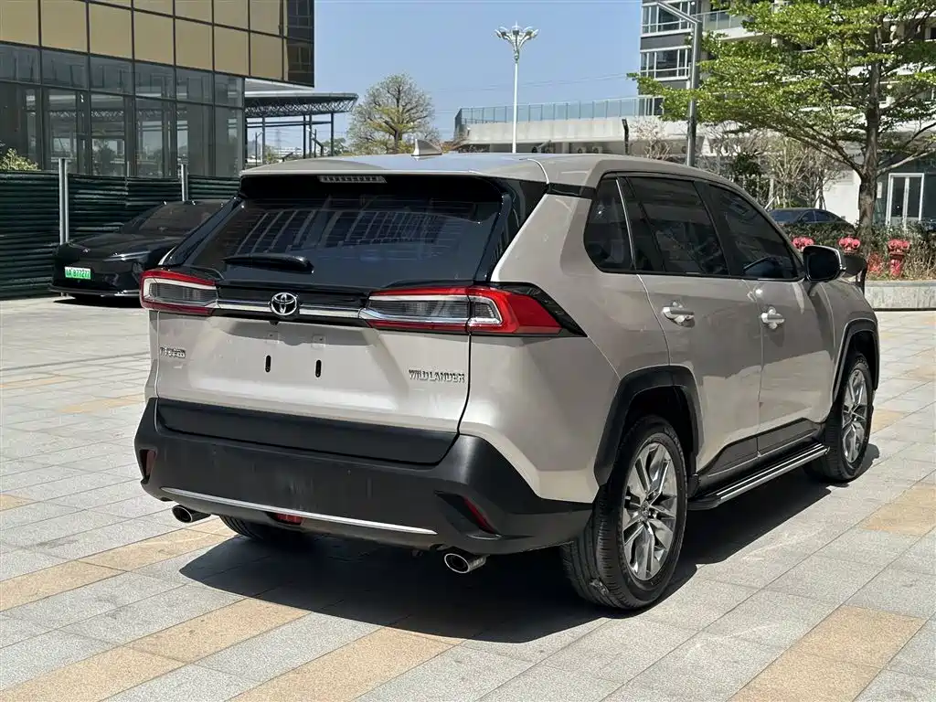 Toyota Wildlander 2020