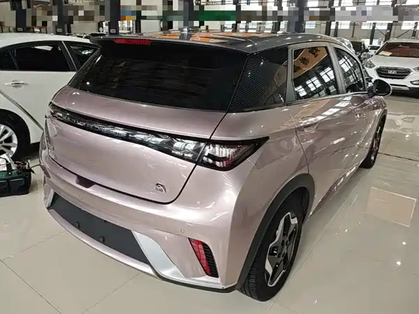 BYD Dolphin 2022